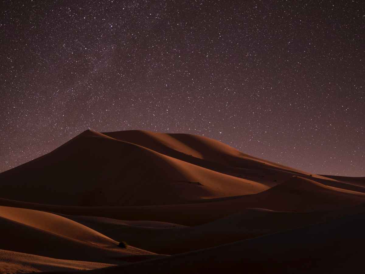 Introduction to the Desert&nbsp;Trancestors